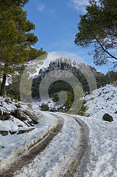 Mountain road to La Serrella (1.359 m) mountain in winter.