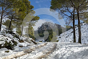 Mountain road to La Serrella (1.359 m) mountain in winter.