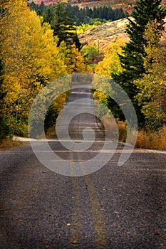 Mountain Road Way Roadway Travel Drive Forest Fall Colors Autumn