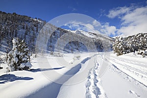 Mountain road in the winter