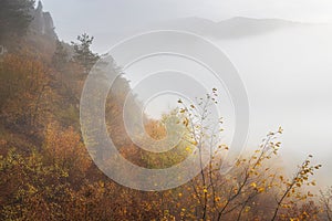 Mountain rocky landscape in autumn foggy morning