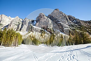 Mountain rocky landscape with fir wood forest and snow. Ortisei, Italy