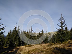 Mountain route to Mount Sinyak from Bukovel Gorgany, Ukrainian Carpathians.