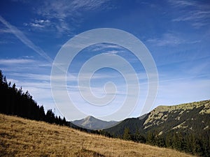 Mountain route to Mount Sinyak from Bukovel Gorgany, Ukrainian Carpathians.