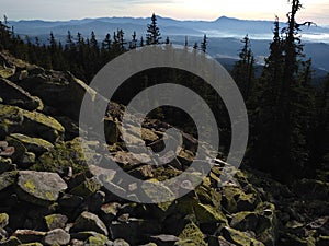 Mountain route to Mount Sinyak from Bukovel Gorgany, Ukrainian Carpathians.