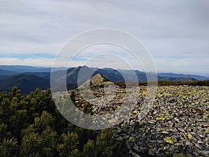 Mountain route to Mount Sinyak from Bukovel Gorgany, Ukrainian Carpathians.