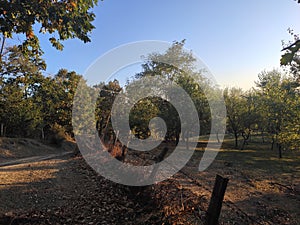 Mountain Rudnik Serbia rural landscape in autumn wired fence divides two fields