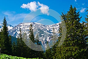 Mountain's landscape in springtime