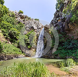 Mountain  Saar Falls with cold and crystal clear water descends from a crevice in the mountains of the Golan Heights in Israel