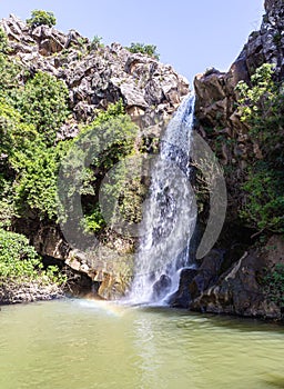 Mountain  Saar Falls with cold and crystal clear water descends from a crevice in the mountains of the Golan Heights in Israel