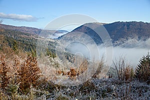 Horské sedlo zahalené v mlze pod svahem hory, Slovensko