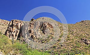 Mountain of Saguaro on Mount Lemmon in Tucson Arizona
