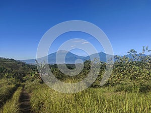 Mountain Savana lake guava tree banana