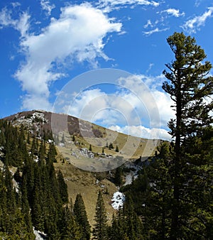 Mountain scene during spring, Velebit, Croatia 9