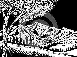 Mountain scene with tree