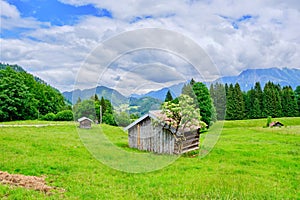 Mountain Scenery in the Allgaeu Alps