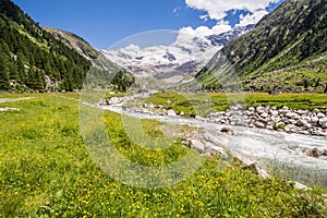 Mountain scenery with blooming meadow and river in the Alps in Austria