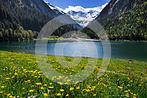 Mountain scenery clear lake with meadow flowers in foreground photo