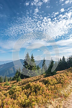 Mountain scenery in early autumn