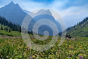 Mountain scenery with hazy skies and wildflowers in Glacier National Park along Going to the Sun Road photo