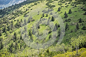 Mountain scenery, Little Fatra, Slovakia