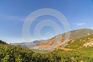 Mountain scenery with lush green trees on gentle slopes and peak on a sunny day