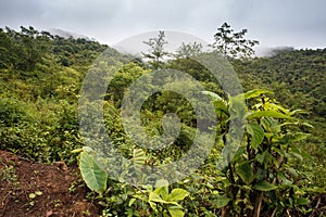 Mountain Scenery, Myanmar