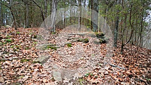 Mountain scenery in Northwest Arkansas