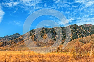 Mountain scenery with pine tree forest in autumn season, Nikko,