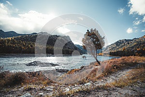 Mountain scenery with river and tree