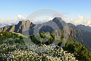 Mountain scenery in summer