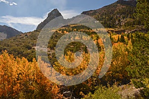 Mountain Scenery on the Tioga Pass Road