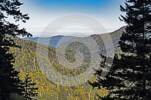 Mountain scenic from the top of the Smoky Mountains.