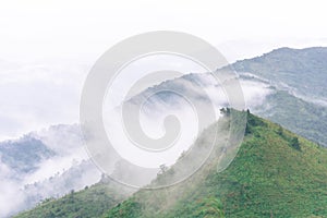 Mountain and sea of mist under the rain and cloudy sky view from