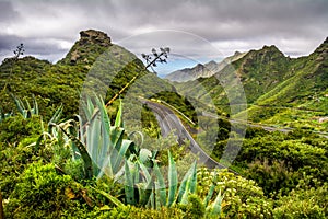 Mountain serpentine. The road is mountainous. The way from Anaga to Santa Cruz de Tenerife. Stunning top view. Anaga, Tenerife, C