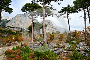 Mountain Shaan-kaya, the city of Alupka, Crimea. A very beautiful autumn landscape: forest, mountains, clouds. For cards, calendar