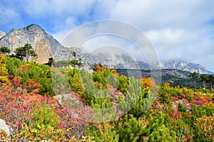 Mountain Shaan-kaya, the city of Alupka, Crimea. A very beautiful autumn landscape: forest, mountains, clouds. For cards, calendar