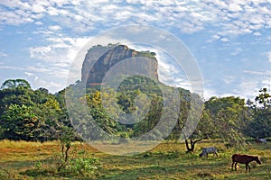 Mountain in the shape of an elephant figure