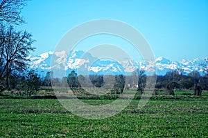 Mountain Sight Landskape and green field, clear blue sky