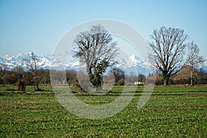 Mountain Sight Landskape and green field, clear blue sky.