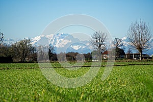 Mountain Sight Landskape and green field, clear blue sky