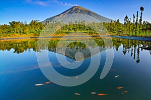 Mountain Sindoro reflection of Embung Kledung, Temanggung Indonesia