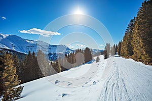 Mountain ski track in woods side over alpine panorama