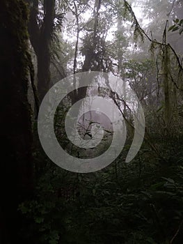 Mountain Slamet central Java Indonesia