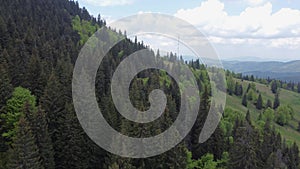 Mountain slope covered with forest in Carpathian Mountains, aerial view
