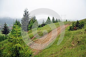 Mountain slope in fog, forest, power lines