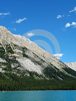 Mountain slope and forest