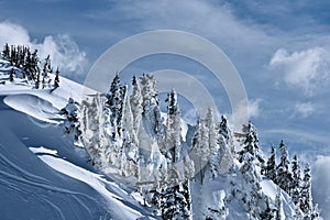 Mountain slope with frozen trees covered with frost and snow on a winter day. Beautiful view of mountains top from