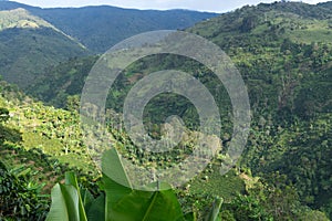 Mountain slopes in an area with coffee farms. Colombia. Liborina