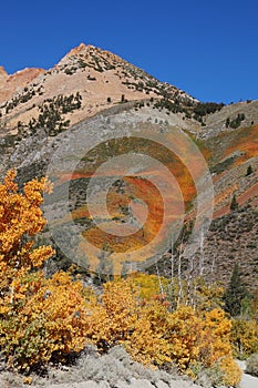 Mountain slopes in California